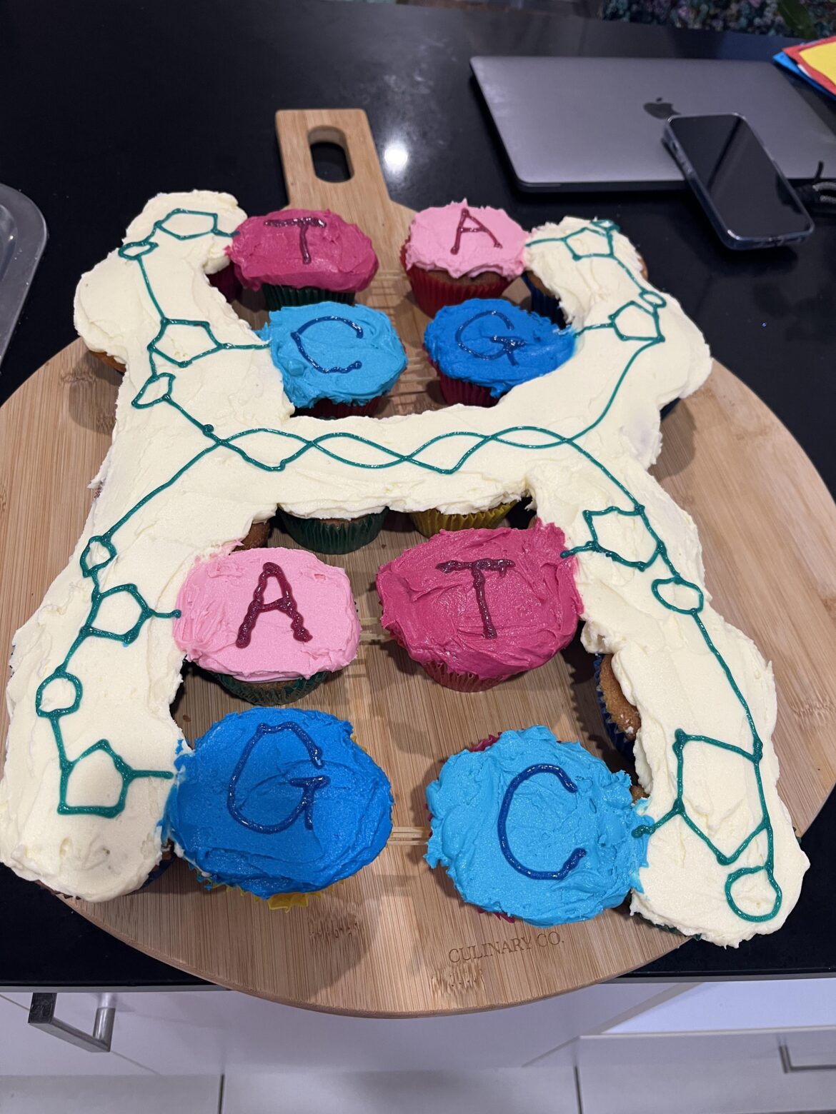 A slightly terrible DNA pull apart cupcake cake for the last lesson with my biology class