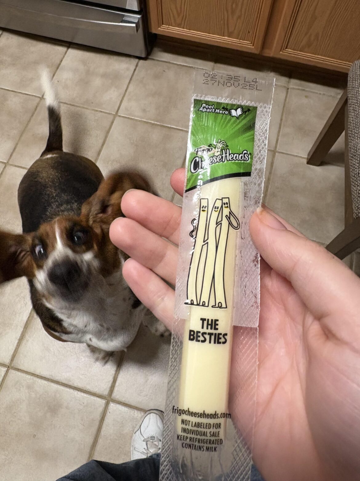 Which One of Y'alls Dog is This?