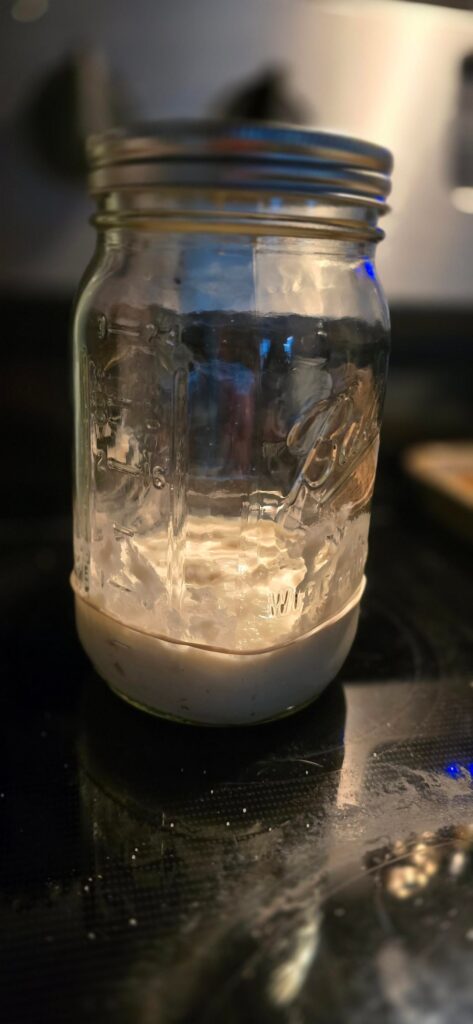 I was gifted some of my neighbors 150 year old starter... help!😭❤️