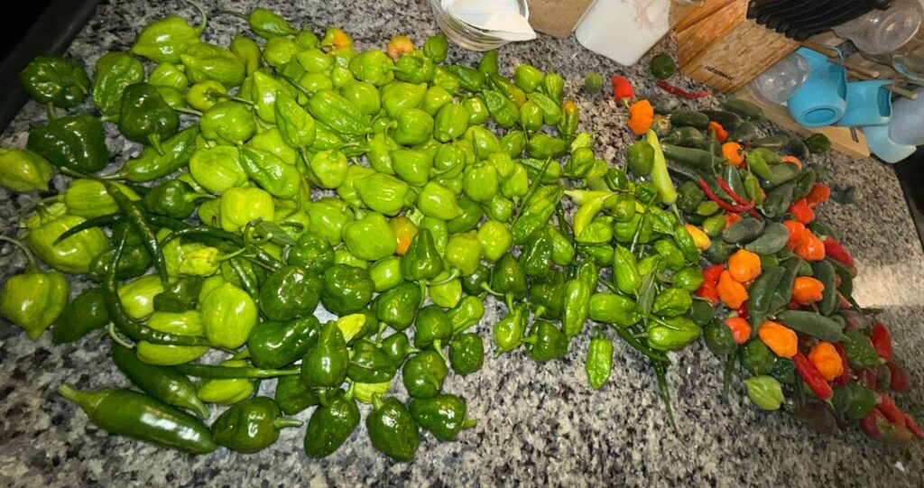 Late start decent finish 😬