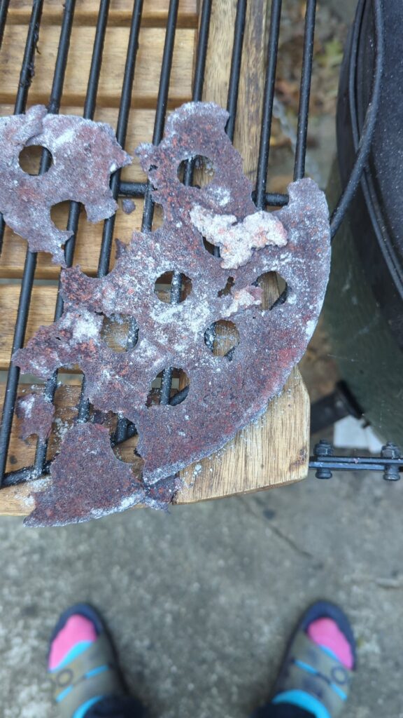 What came out my egg?