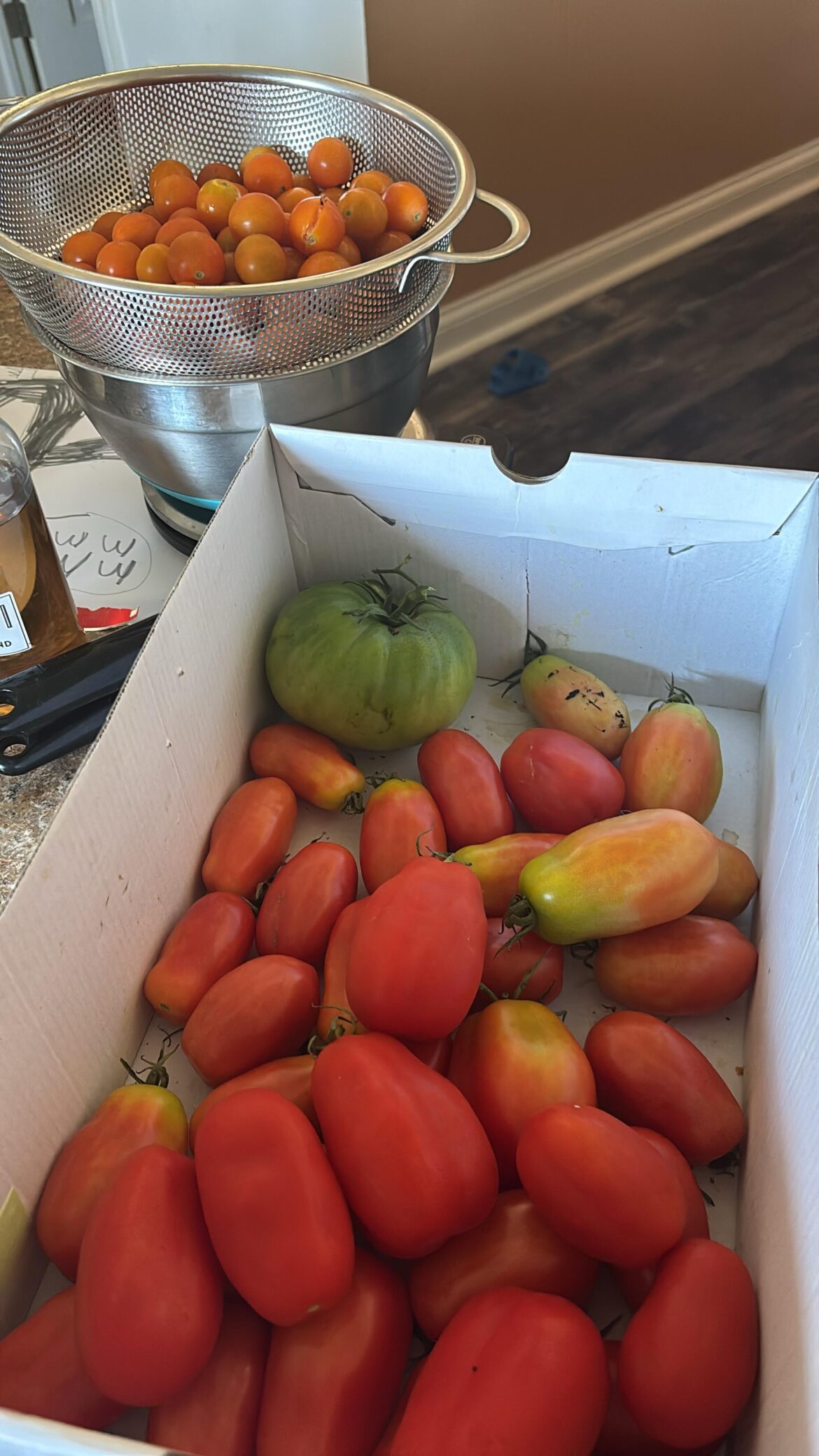 What should I do? Zone 6b