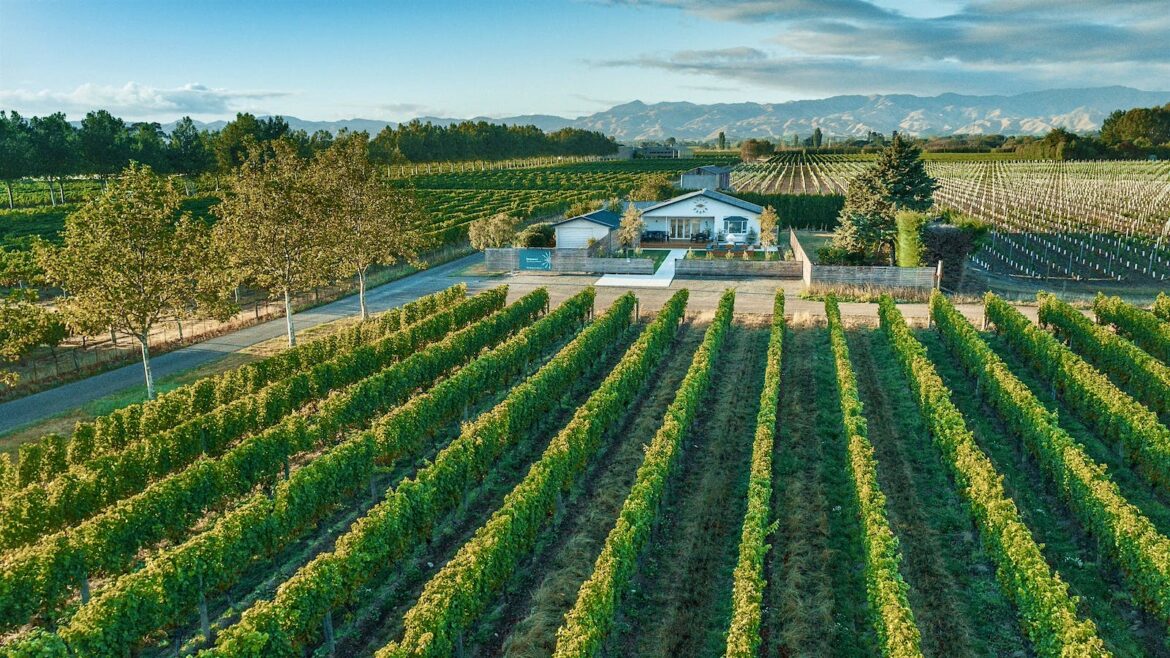 New Zealand Tasting Report: Trading Up