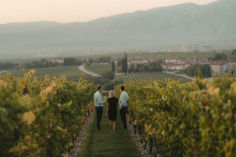 Wine Tourism Conference in Plovdiv Explores New Frontiers in Sustainability and Culture 9th un tourism global conference on wine tourism in plovdiv