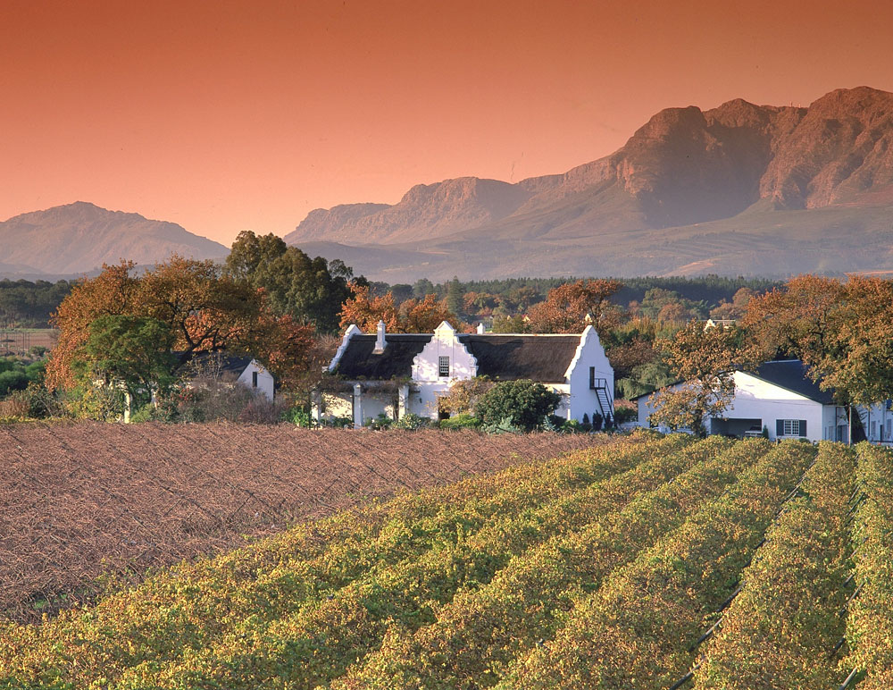 Wine tourism in 2025: South Africa leads the way for budget conscious travelers Wine tourism in 2025: South Africa leads the way for budget conscious travelers