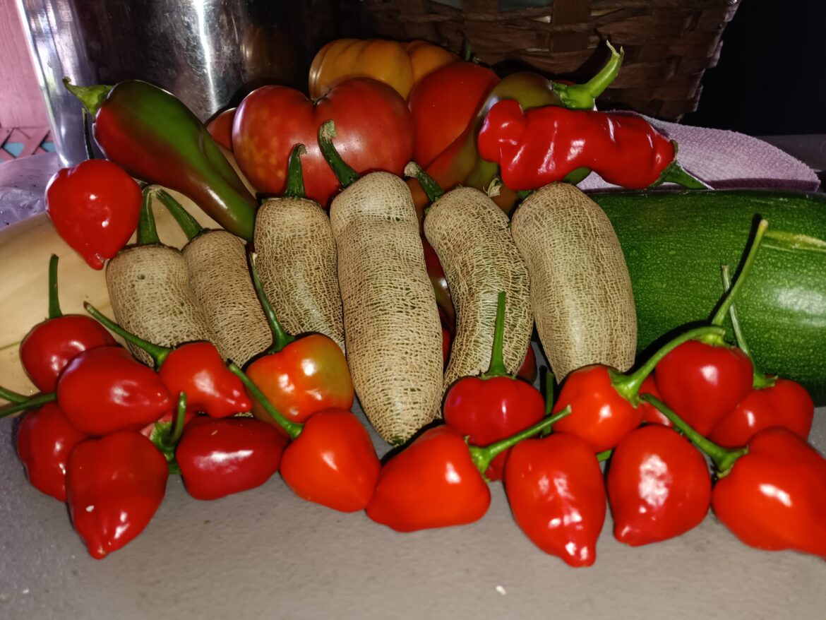 Farmers Jalapeno and Peppadew peppers