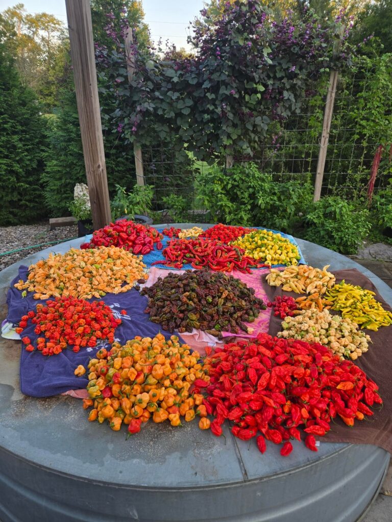 Got peppers?