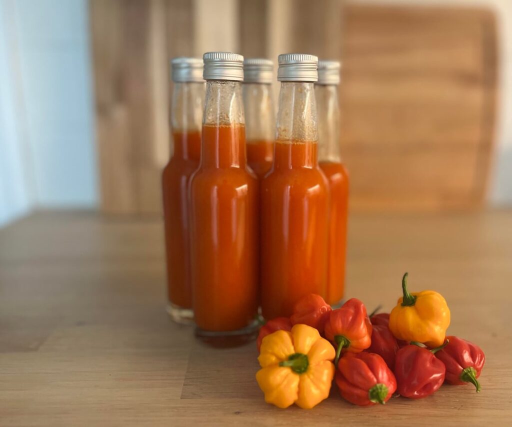 My first ferment with homegrown peppers My first ferment with homegrown peppers