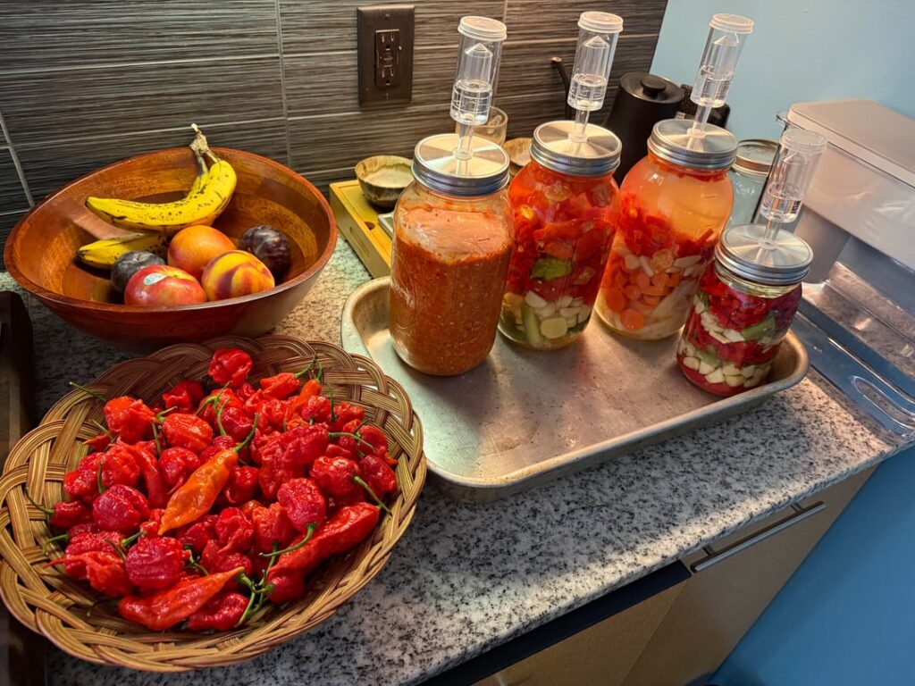 Ferments….Superhot ferments