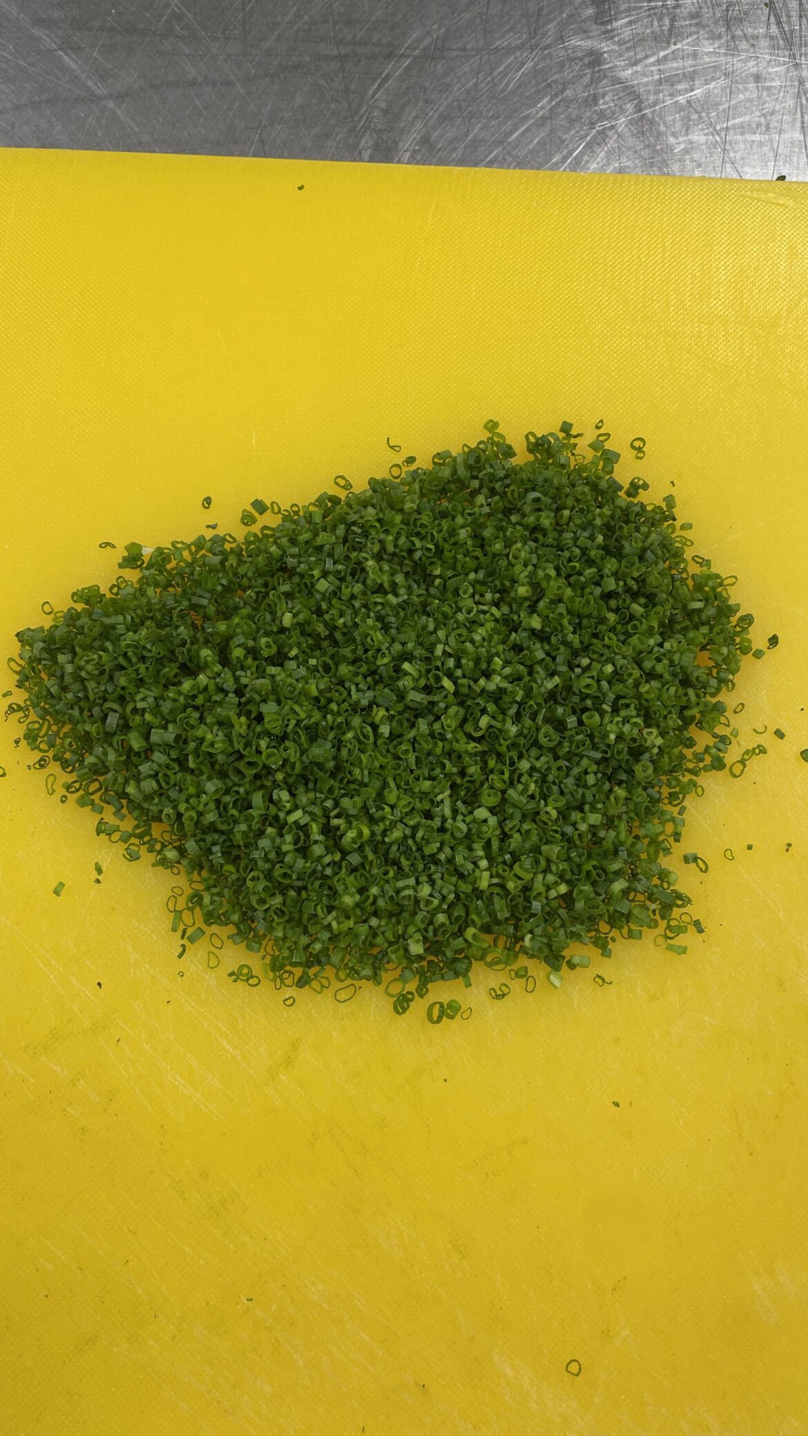 Cutting a cup of chives every day until this Reddit says they’re perfect. Day 8