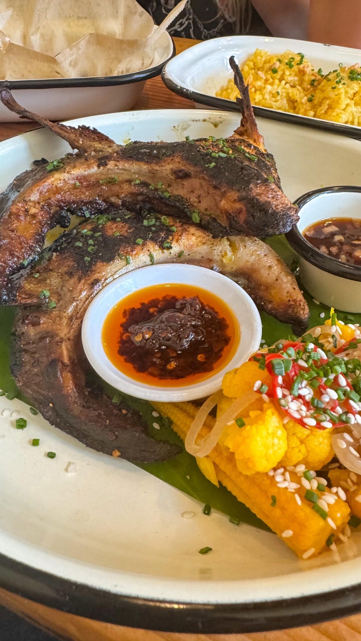 KUYA LORD- HIRAMASA COLLAR