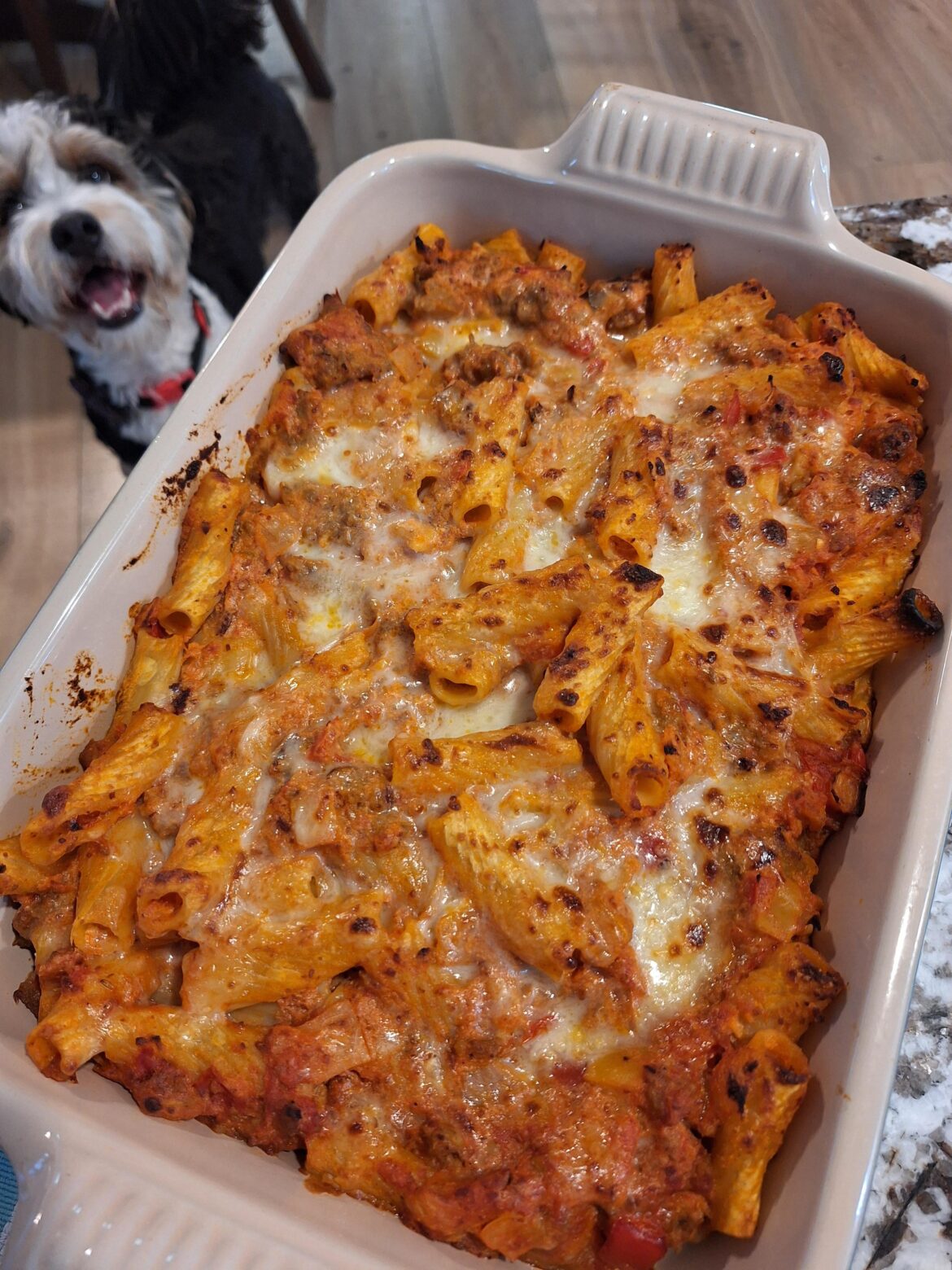 Rigatoni casserole [homemade]