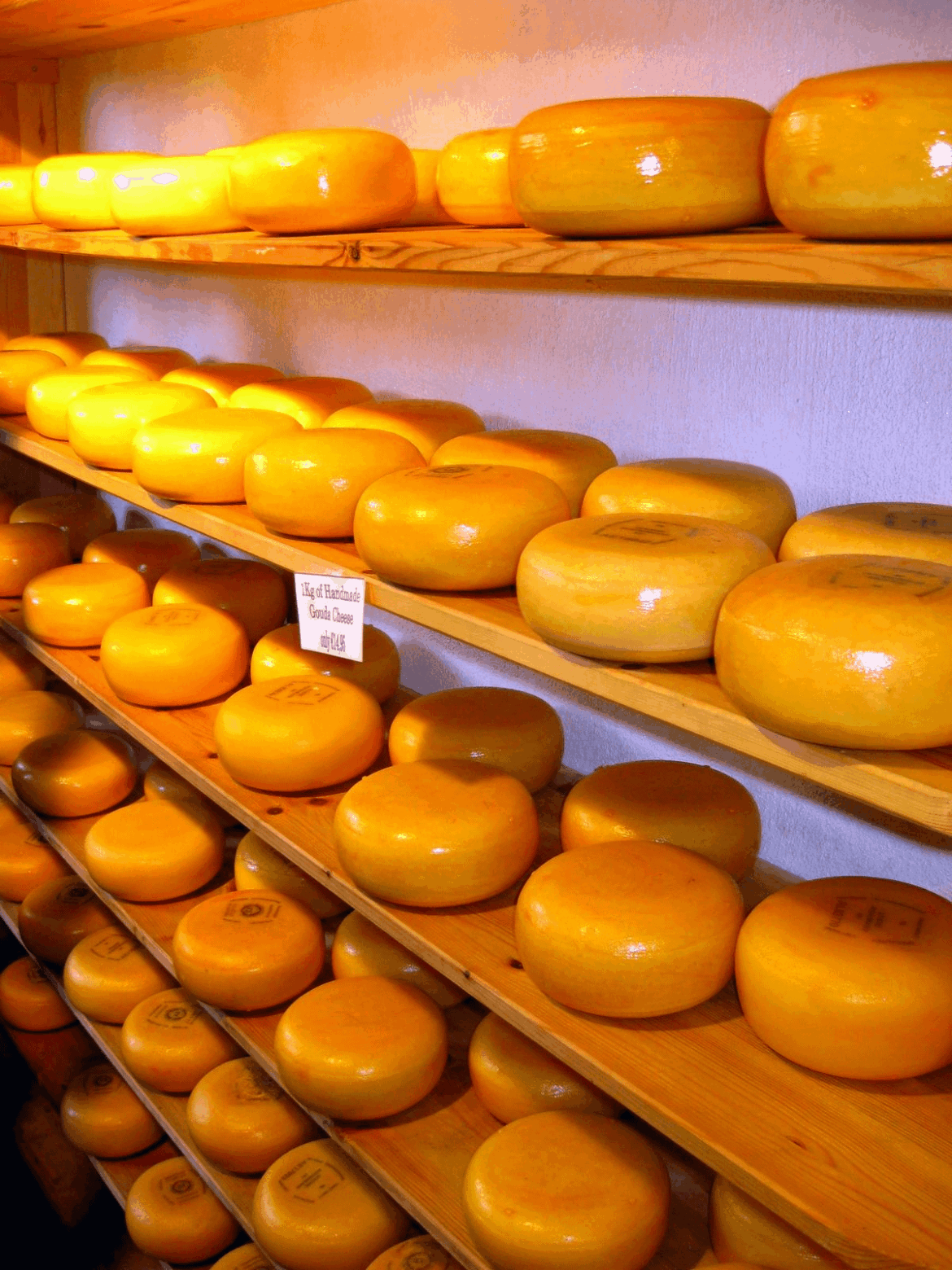When the cheese shelf looks like it's ready for a gouda time!