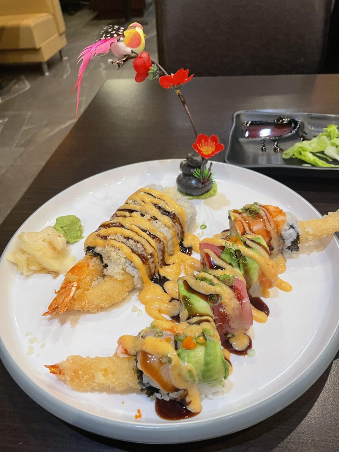 Why are aquarium decorations the new thing?