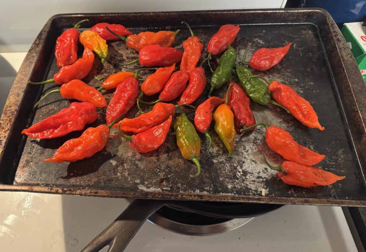 What to do with these ghost peppers before they go bad in a few days? What to do with these ghost peppers before they go bad in a few days?