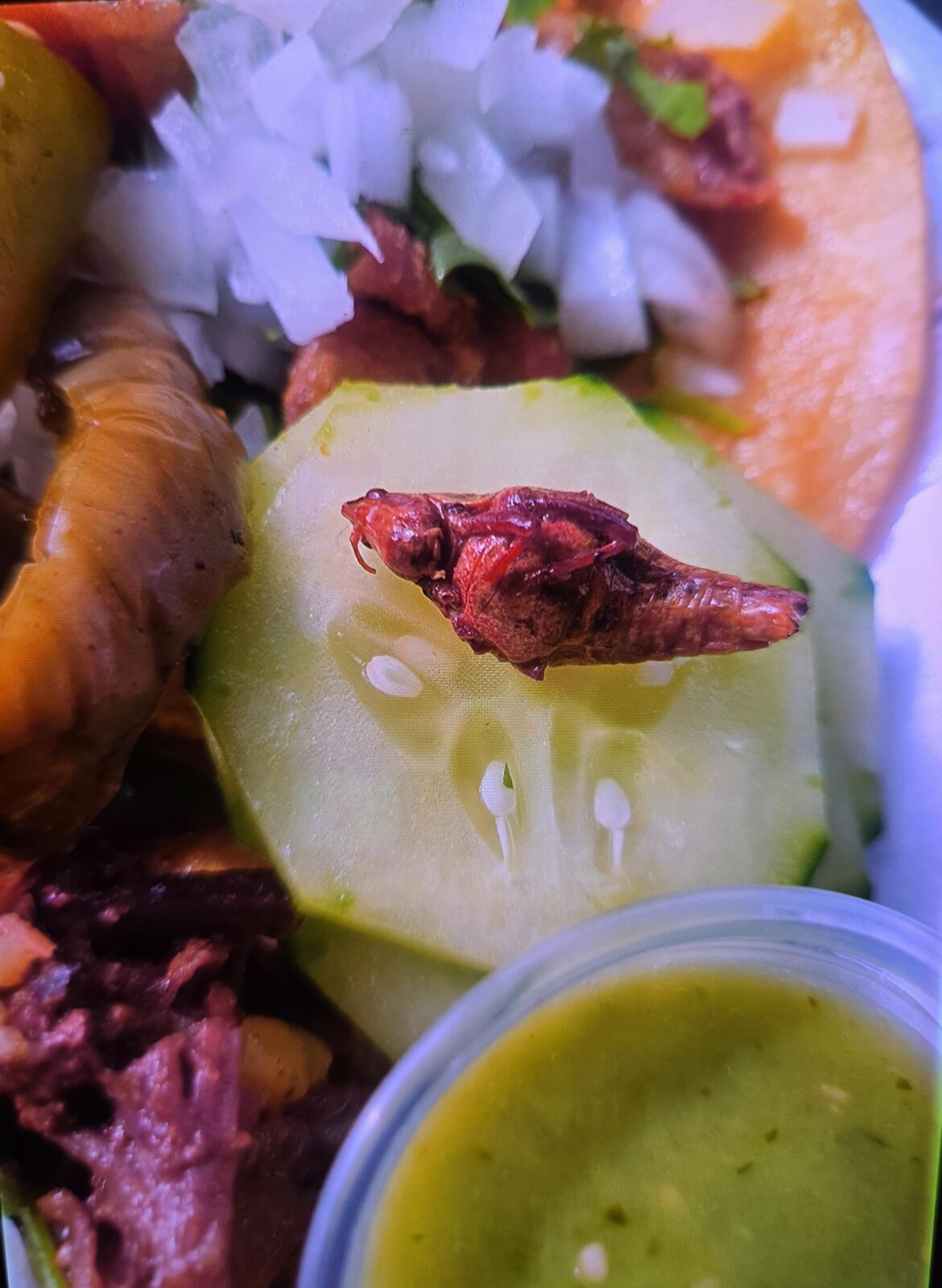 OG OG taco. OG OG taco.