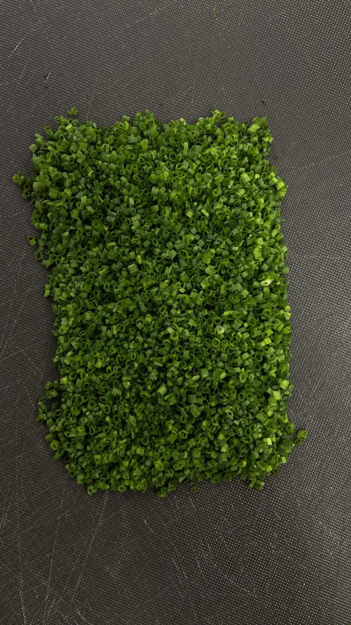 Cutting a cup of chives every day until this Reddit says they’re perfect. Day 9