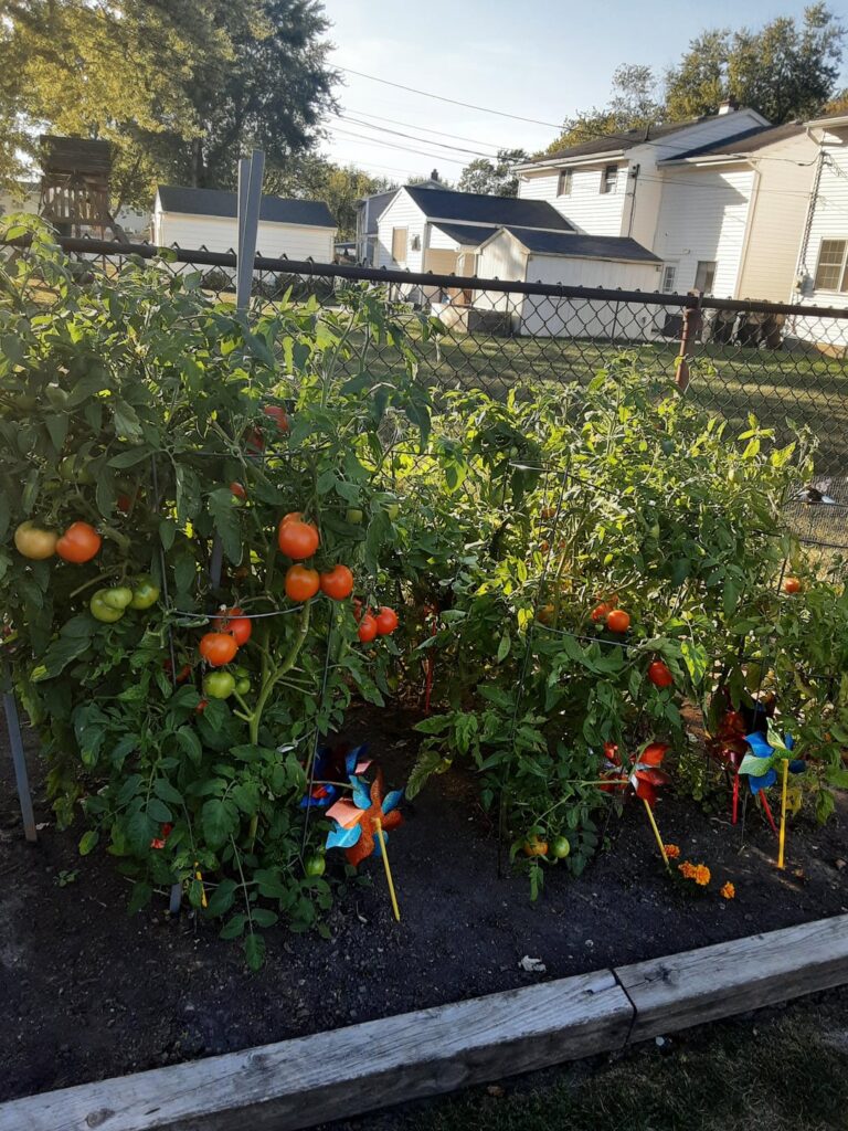 Holy tomatoes, Batman!!