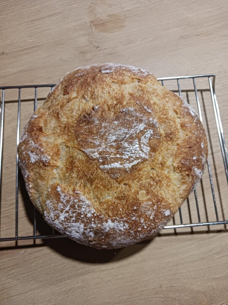 My uni's fermentation club gave away free sourdough starter! My first loaf 💕