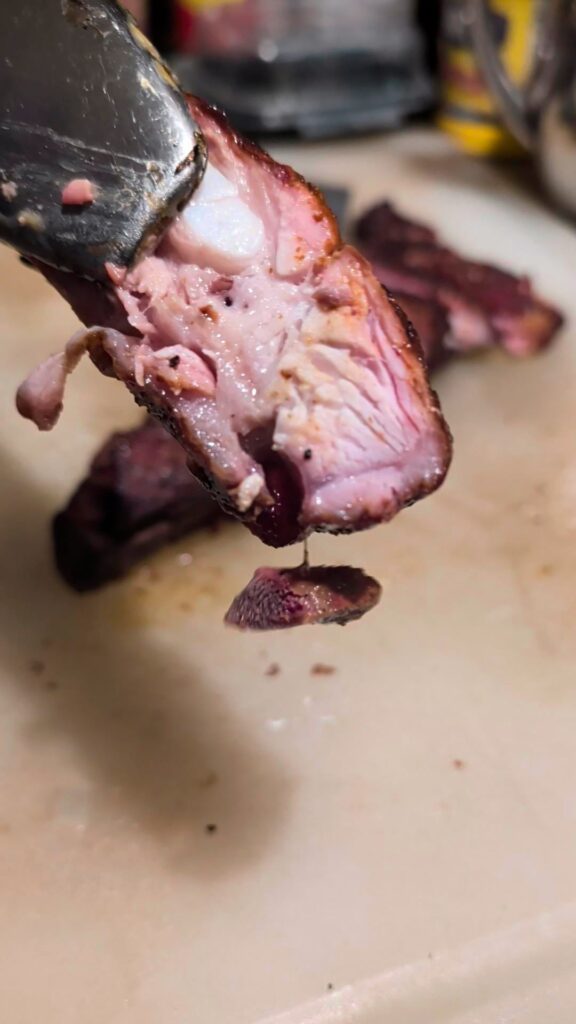 Smoking for 1: rib tips