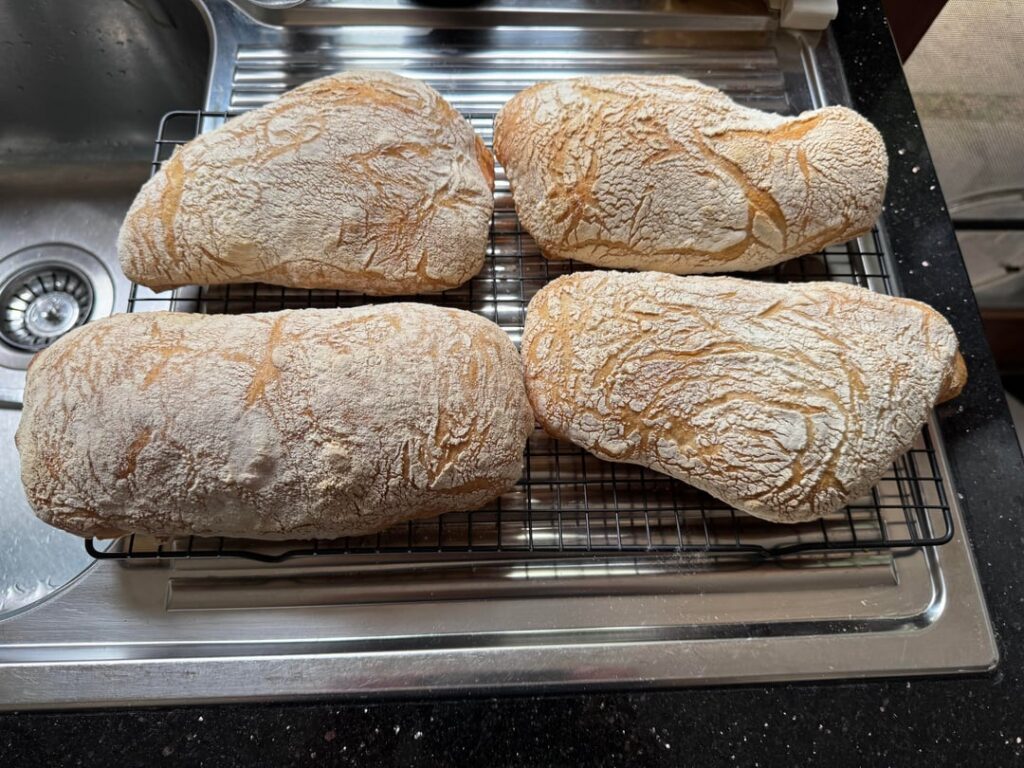 Ciabatta - First Attempt
