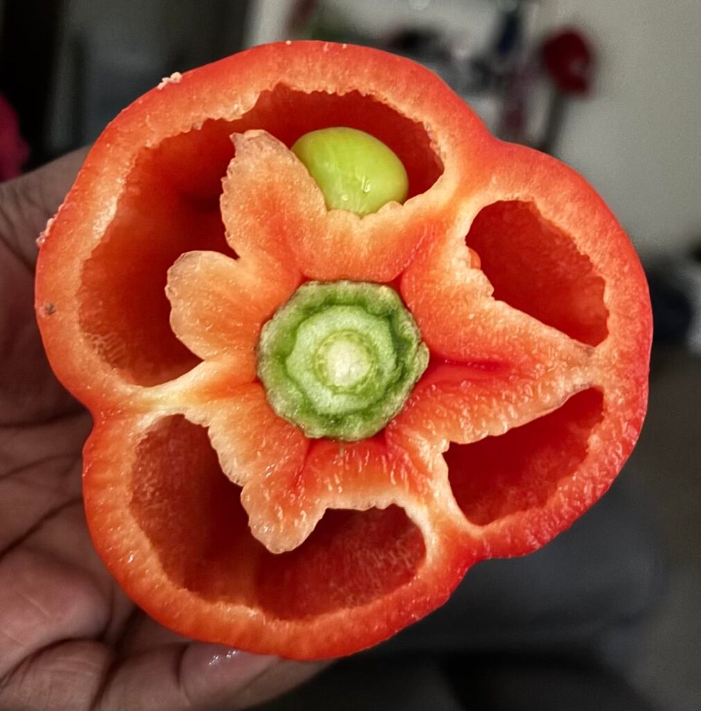 Bell pepper had a bun in the oven!