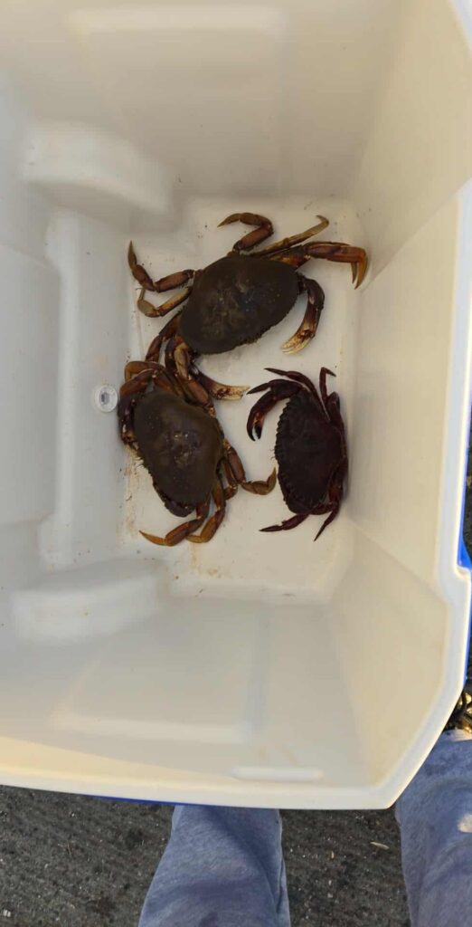 Happy Canadian Thanksgiving