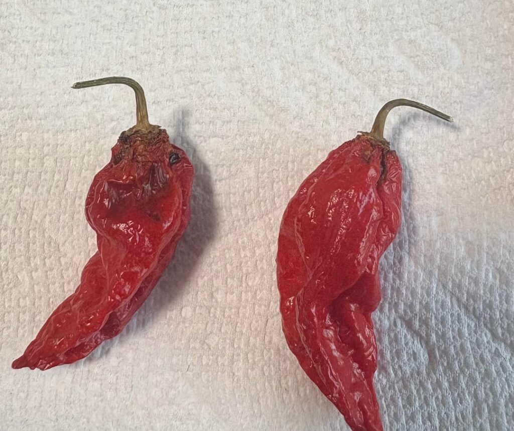 Air drying these and they’re looking funky. Do these look rotten and should I toss the whole pepper?