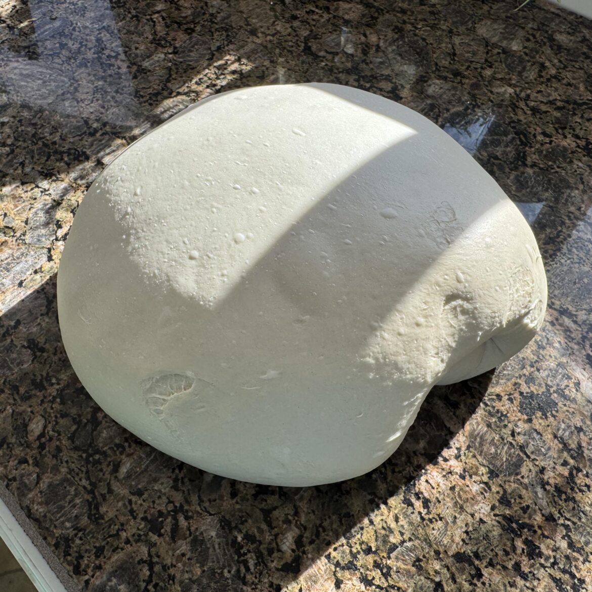 I made about 13 pounds of pizza dough last night but I think the yeast was old and dead. There’s almost no bubbles this morning. Is there any way to save it by tonight for our party?