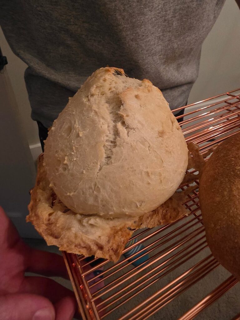 Can anyone explain to me what happened with this loaf, looks like he shedded his skin & didnt poof out ? 🤔