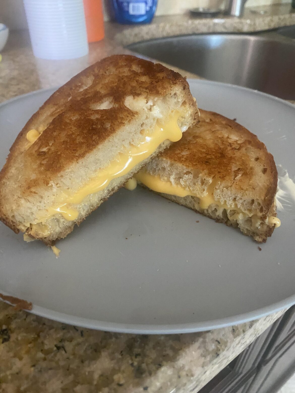 first time making sourdough bread grilled cheese