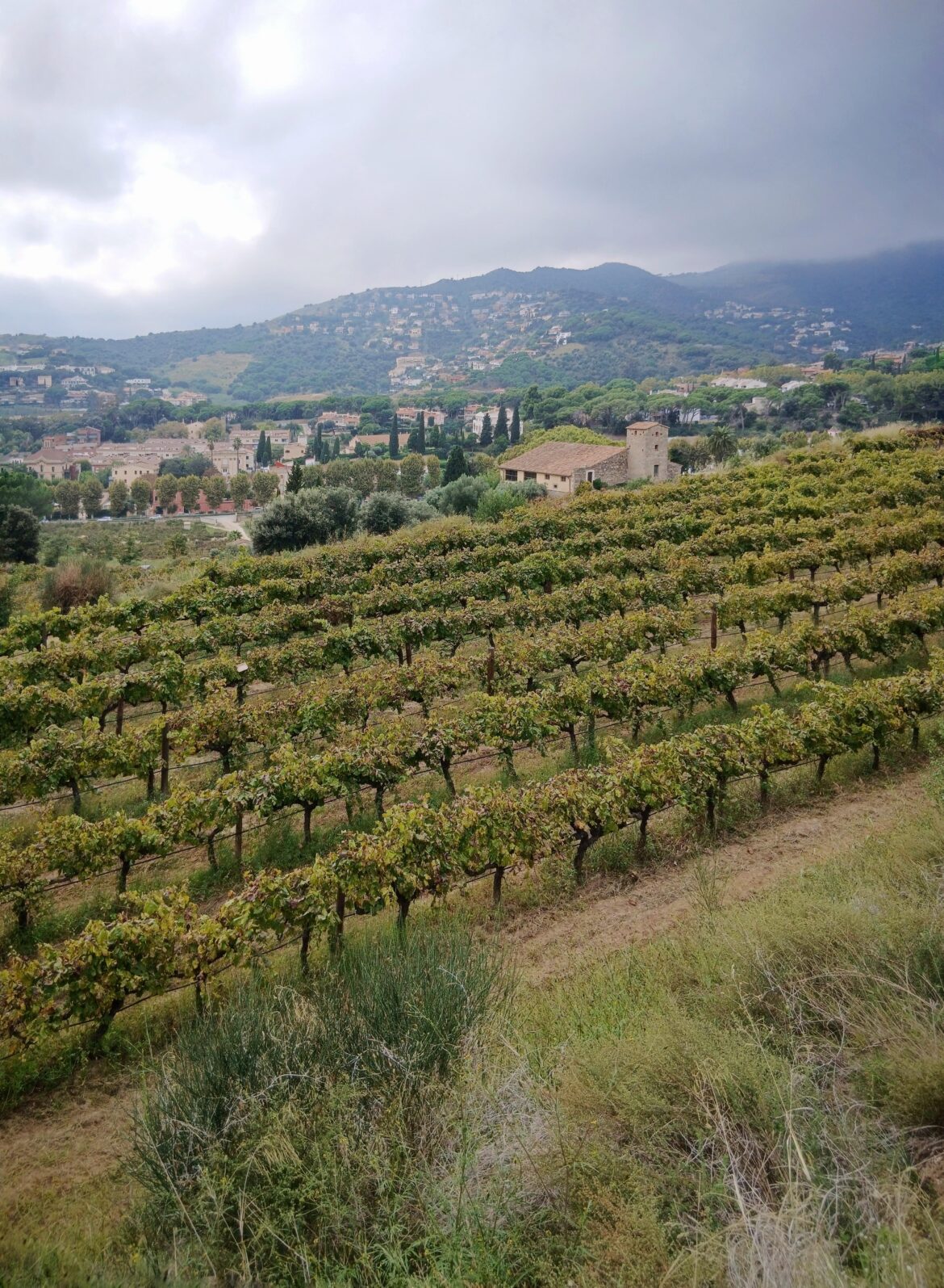 Guess the wine region where I was today