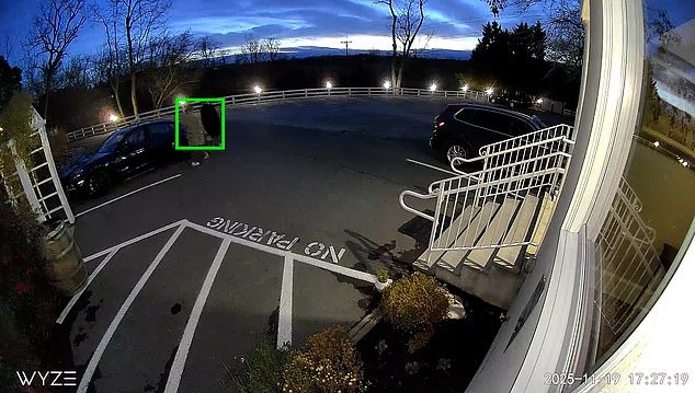 Security camera footage of Natali Ray walking in a parking lot, highlighted by a green box.