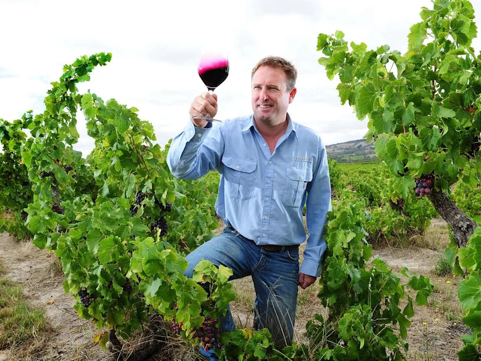 Vintage starts in McLaren Vale Wine Region