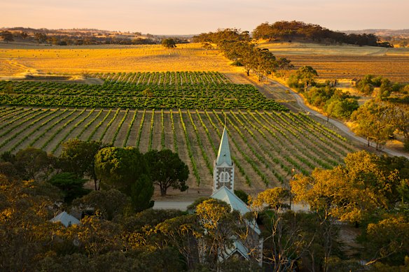 The historic Henschke vineyard in Eden Valley, in the Barossa wine region.