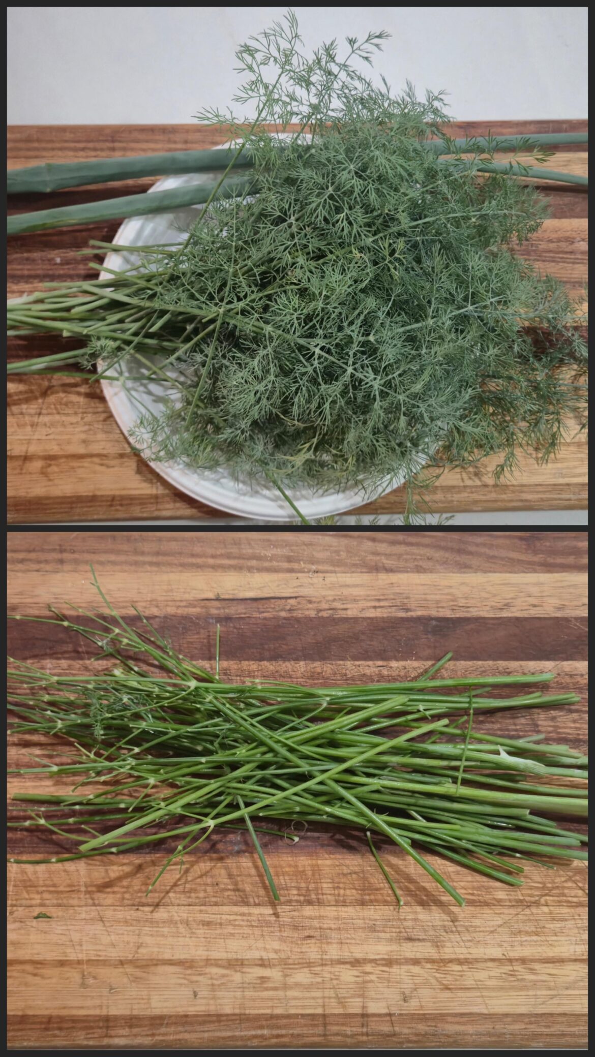What to do with all the left over stalks after harvesting and separating the leaves to be dried? (Dill)