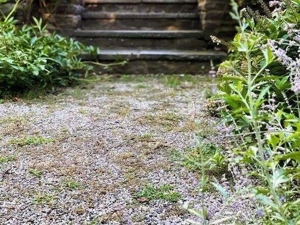 Gravel weeds are a common issue