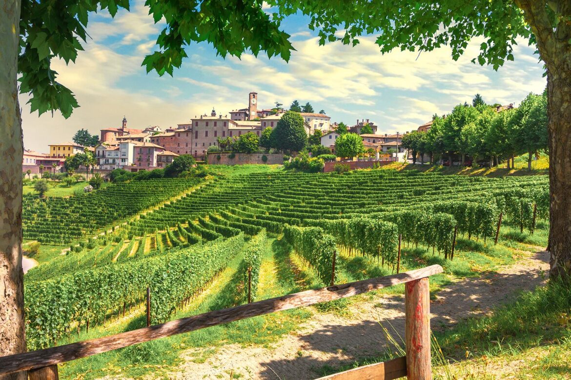 The Best Wine Regions in Europe