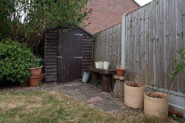 A view of a rundown timber shed in a back garden with dead potted plants and various plant pots