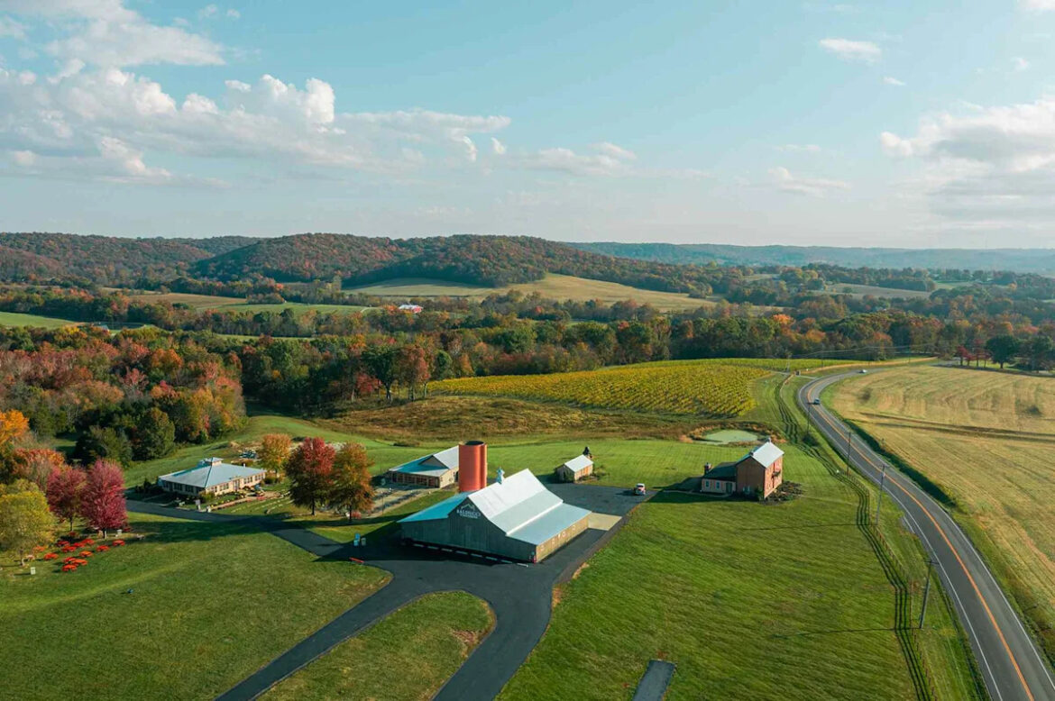 Yahoo lifestyle home