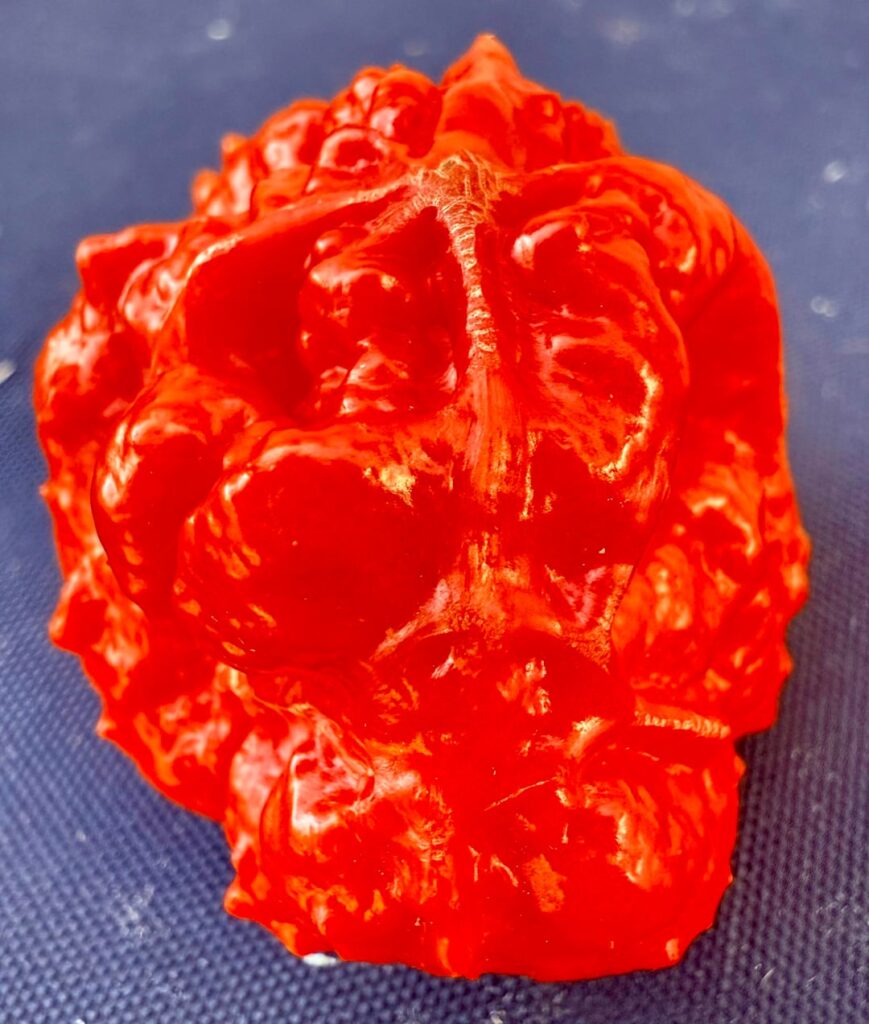 Any metal bands need a cover for their next release?