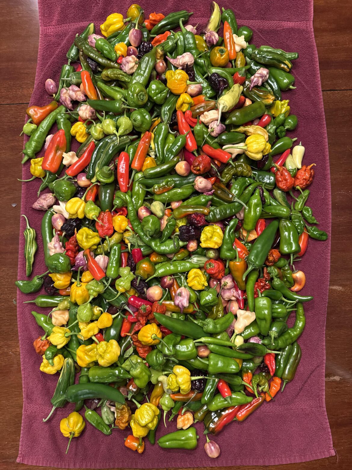 Party’s over here in KY