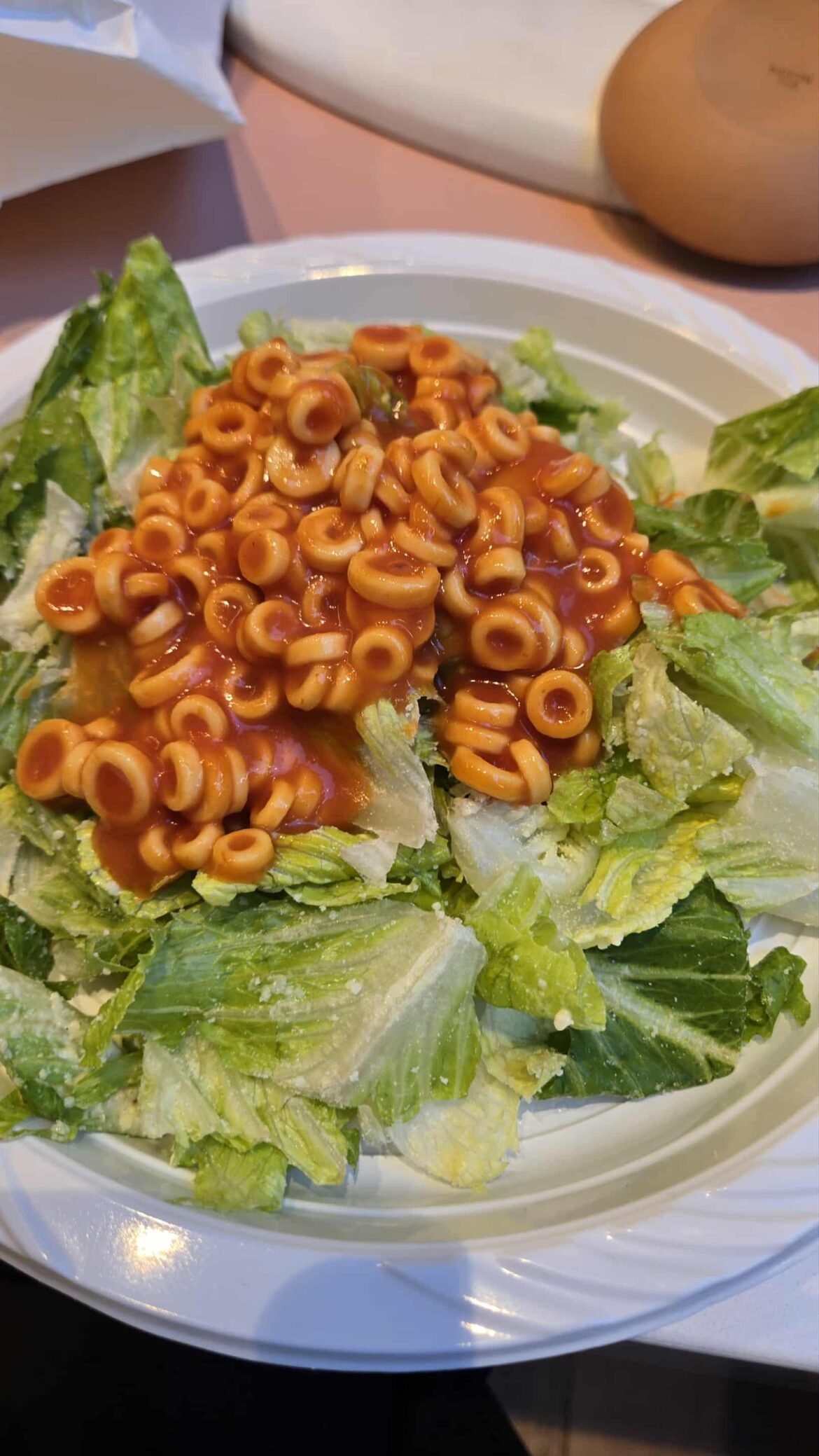 My girlfriend's lunch. Her manager told her to go home.