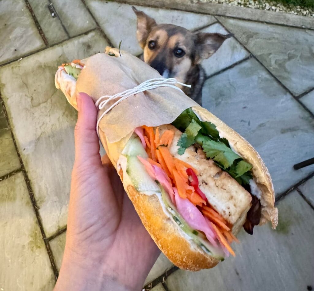 What I’ve eaten recently What I’ve eaten recently