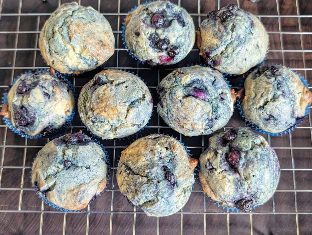 [homemade] blueberry muffins