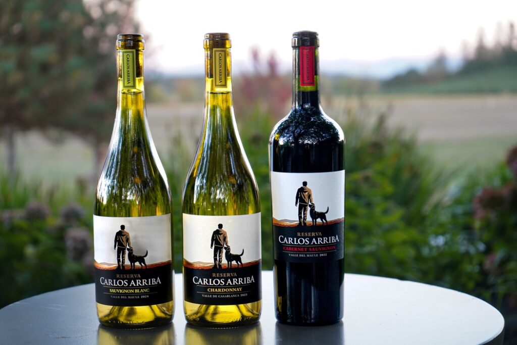 Carlos Arriba Debuts in Texas: A Premium Chilean Wine Collection Exclusive to H-E-B image-01