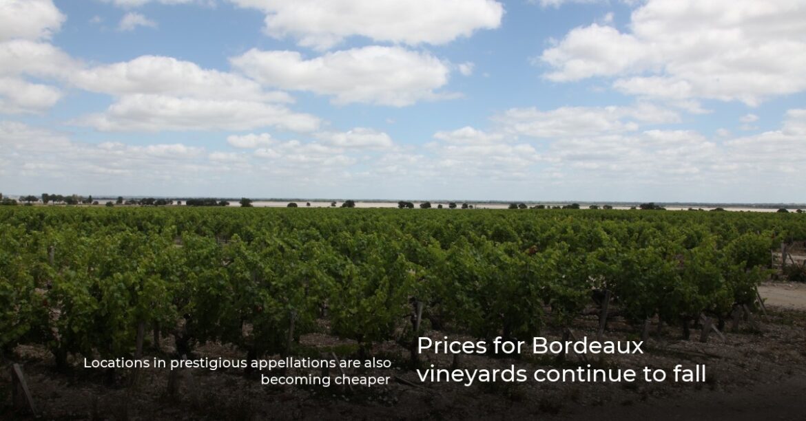 Prices for Bordeaux vineyards continue to fall