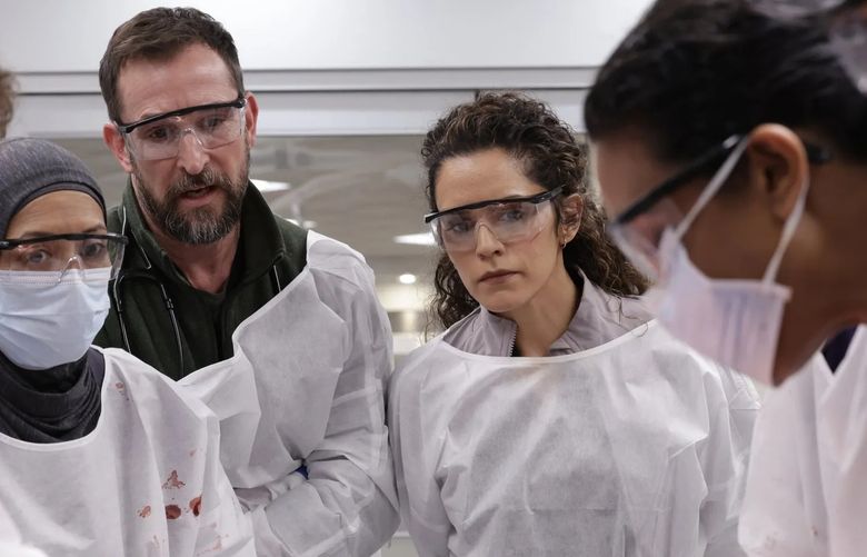 From left, Gerran Howell, Amielynn Abellera, Noah Wyle, Sepideh Moafi and Supriya Ganesh in “The Pitt” Season 2. (Warrick Page / HBO Max)