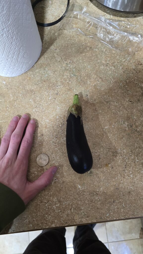 The eggplant i received vs the picture on the menu card