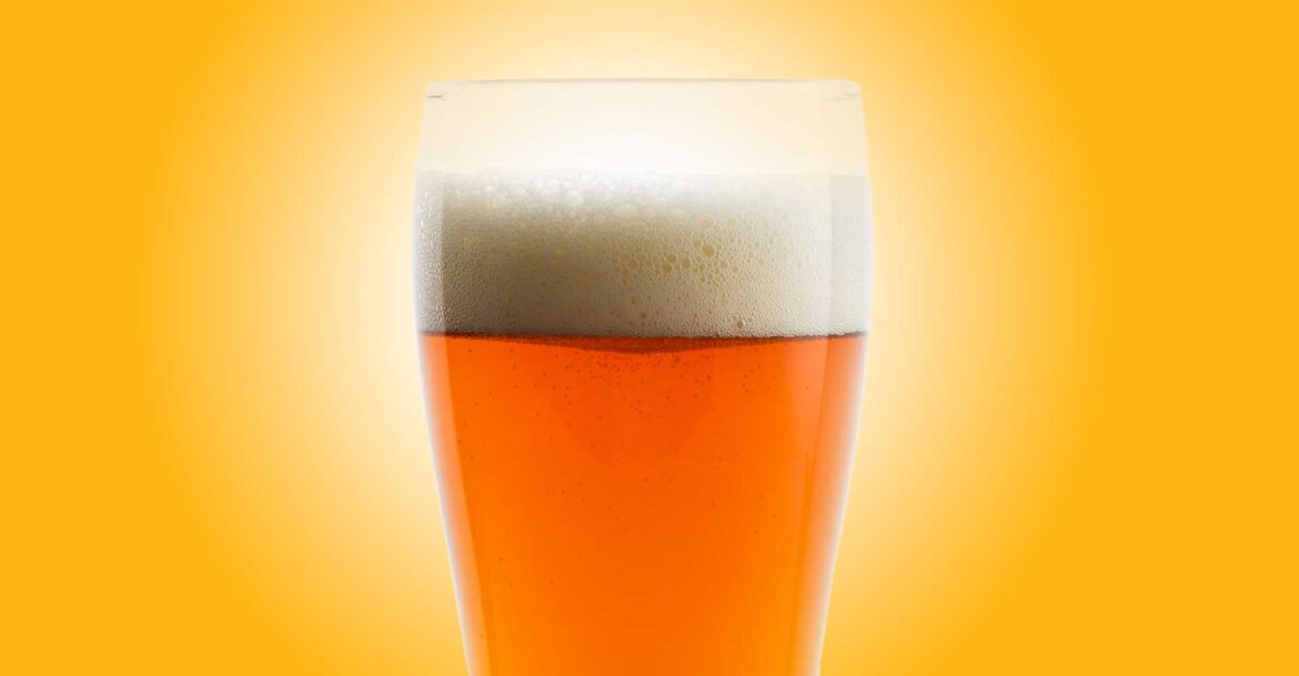 Endless Lager (Fall 2025)